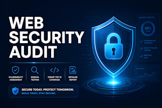 conduct a professional web application security audit and pentest, vulnerability
