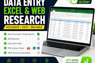 do data entry excel web research PDF conversion