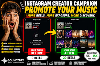promote your music with instagram creator reels campaign