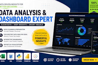data analysis and business insights with ai 24 hour delivery