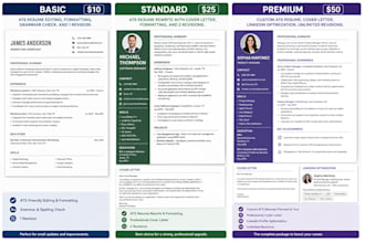 ats friendly professional resume and CV writing