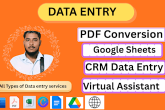 do  data formatting,data conversion as a data entry expert