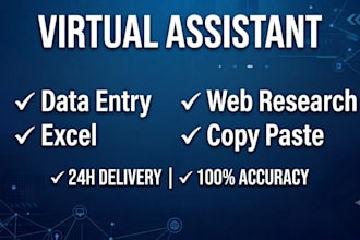 be your virtual assistant for data entry excel web research