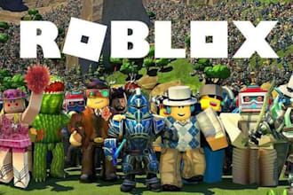 be your professional roblox developer