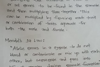 do writing by hand in any letter