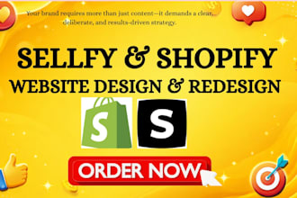 create or redesign a professional sellfy website