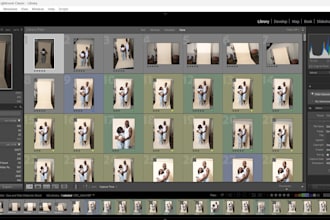 professionally cull and organize your photos