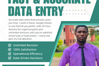 do accurate data entry and excel data processing
