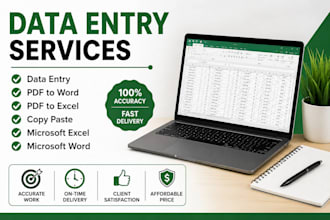 do accurate data entry, microsoft excel, PDF to word and copy paste