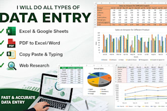 professionally data entry or data typing