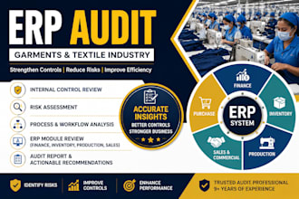perform erp audit and internal control review for garments and textile industry