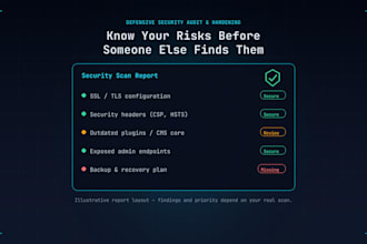 run a website security audit and vulnerability scan