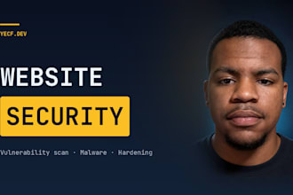 run a website security audit and vulnerability scan