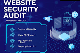 perform website security audit and prepare detailed report
