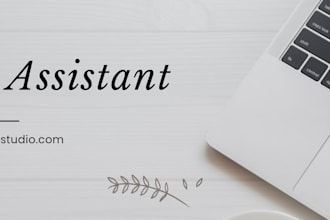 be a professional virtual assistant and data entry expert