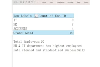 clean, format, organize and create microsoft excel reports