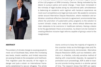 write legal content, blogs, research articles and papers