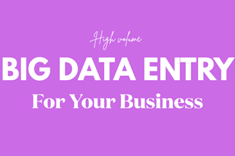 create high volume and big data entry for businesses