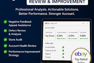 analyze ebay defects and improve seller performance