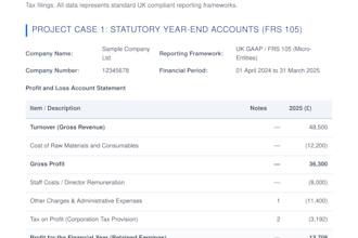 file UK ct600 tax return and confirmation statement