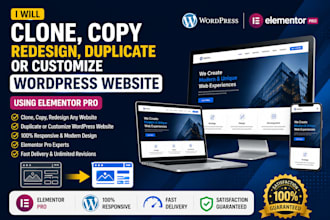 clone copy redesign duplicate or customize wordpress website with element