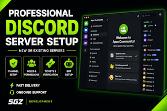 create and setup a professional discord server