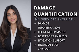 do damage quantification, economic damages, lost profit analysis and reporting