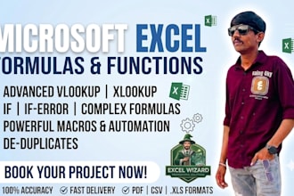 fix and create advanced excel formulas and functio
