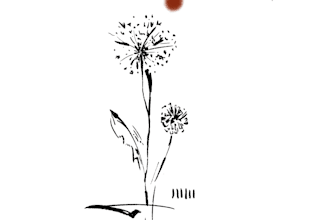 create custom line art illustrations and tattoo designs