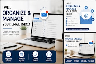 organize and manage your email inbox professionally