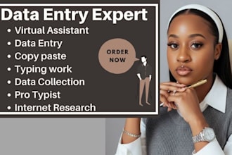 help with data entry and virtual assistance work