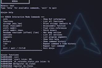 review your c or cpp code and share security flaws