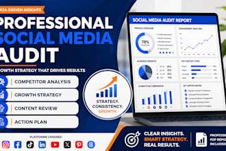 do a professional social media audit and growth strategy