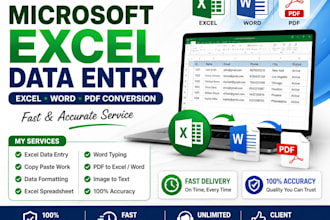 do microsoft excel data entry, excel formatting,PDF to excel