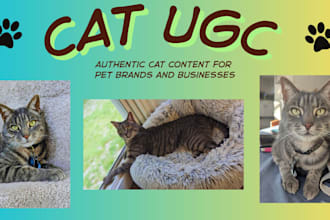 create ugc content for your pet brand with my cat