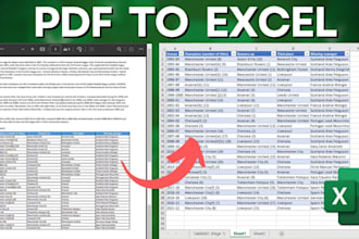convert PDF to excel or CSV professionally