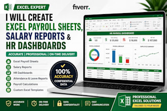 create excel payroll sheets,HR dashboards and salary reports