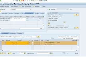 be your sap fico consultant