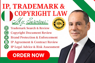 review IP, trademark, brand protection and  copyright documents professionally