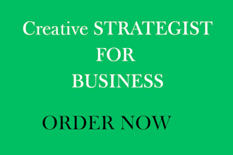 be your data analyst for your business