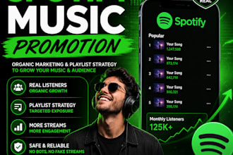 do professional spotify music promotion for artists and musicians