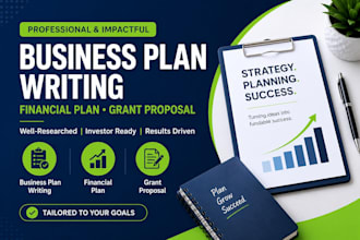 write business plan, business strategies, financial plan, grant proposal