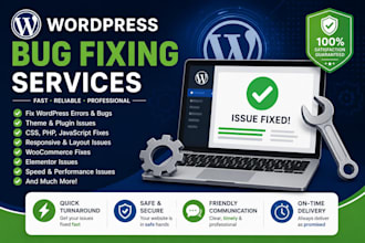 fix one CSS issue on your wordpress website