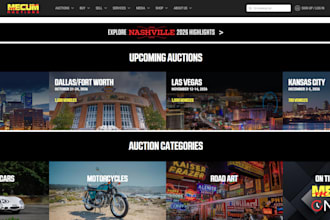 do a saas or shop website for you