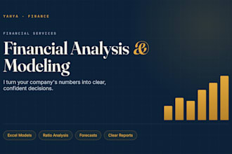 analyze financial statements and build financial models in excel