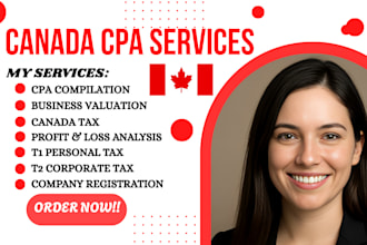 do CPA financial audit, ngo audit, reviewed or compiled financials in 24 hours