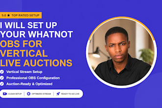 set up your whatnot obs for vertical live auctions