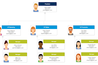 design professional editable organization chart, organogram flowchart organogram