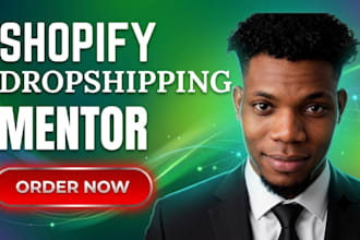 shopify dropshipping mentor 1on 1 dropshipping consultant shopify mentor