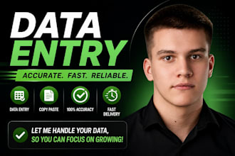 do fast and accurate data entry and excel work